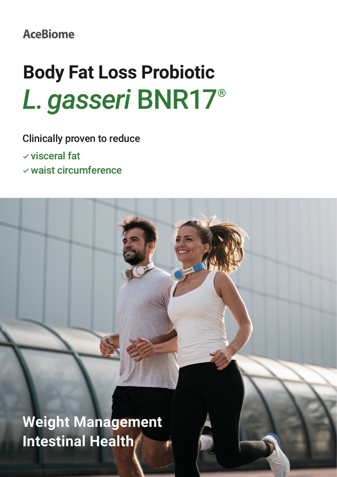 AceBiome brochure cover: Body Fat Loss Probiotic L. gasseri BNR17, studied for visceral fat and waist circumference
